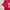 Sportswear Jersey Pria red photo 7