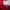 Sportswear Jersey Pria red photo 8