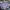 Nike Casual Fleece Pria purple blue photo 1
