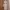 Vintage Cottagecore Nightgown Wanita White Cream