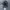 Bleyhl Camo Realtree Ripped photo 6