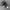 Bleyhl Camo Realtree Ripped photo 1