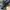 Arc'teryx Gorpcore Casual Sneakers Pria navy black photo 6