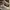 Nike Casual Sneakers Wanita white photo 1