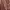 ADA Fashion Luxury Skirt Wanita burgundy pink photo 3