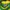 Y2K Sportswear Jersey Wanita yellow photo 5