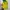 Y2K Sportswear Jersey Wanita yellow photo 2