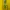 Y2K Sportswear Jersey Wanita yellow photo 3