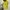 Y2K Sportswear Jersey Wanita Yellow