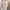 09WOMEN Avant Garde Casual dress Wanita white photo 1