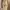 09WOMEN Avant Garde Evening dress Wanita yellow cream photo 1
