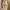 09WOMEN Avant Garde Evening Dress Wanita Yellow Cream