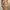 09WOMEN Vintage Evening Dress Wanita Brown