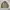 Vintage Harrington jacket Pria tan photo 1