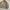 Vintage Harrington jacket Pria tan photo 2