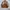 Playboy Vintage Harrington jacket Pria tan photo 5