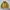 Vintage Harrington jacket Pria yellow photo 1