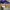 Asics Luxury Sportswear Sneakers Pria multicolor purple photo 2