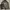 Luxury Biker Bomber jacket Pria multicolor brown photo 1