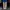 Vintage Y2K Jeans Pria cream photo 1