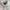 Polo Ralph Lauren Casual Kids multicolor photo 2