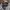 A Bathing Ape Cosplay Casual Other Pria multicolor white photo 3