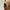 Polo Ralph Lauren Casual Hat Pria cream photo 3
