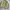 Japanese brand Vintage Varsity jacket Pria khaki photo 2