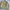 Japanese Brand Vintage Varsity Jacket Pria Khaki