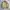 Japanese brand Vintage Varsity jacket Pria khaki photo 5