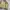 Japanese brand Vintage Varsity jacket Pria khaki photo 6