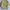 Japanese brand Vintage Varsity jacket Pria khaki photo 3