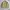 Japanese Brand Vintage Varsity Jacket Pria Khaki
