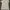 Uniqlo Streetwear Casual T-shirt Pria white photo 1