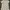 Uniqlo Streetwear Casual T-shirt Pria White