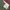 Uniqlo Streetwear Y2K Casual pants Pria green photo 6
