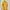 This is April Coquette Minimalist Summer dress Wanita yellow photo 1