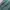 Biker Casual Harrington jacket Pria green photo 8