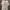 Vintage Streetwear T-shirt Pria cream photo 1