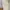 Fred Perry Casual Polo shirt Pria white photo 4