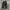 Nike Sportswear Sneakers Pria white black photo 4