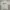 Nike Streetwear Y2K Sweater Pria gray photo 2