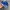 Nike Sportswear Sneakers Pria white blue photo 4