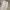 Balmain Luxury Casual Casual pants Pria cream photo 4