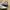 Adidas Casual Sneakers Wanita white tan photo 2