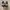 Adidas Casual Sneakers Wanita white black photo 4