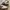 Adidas Casual Sneakers Wanita white black photo 2