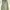 Y2K Jeans Pria green photo 4