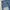 Oakley Y2K Short Pria blue gray photo 7