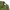 Streetwear Minimalist Windbreaker Pria Green